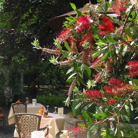 Landidyll Wilminks Parkhotel Neuenkirchen  Екстериор снимка