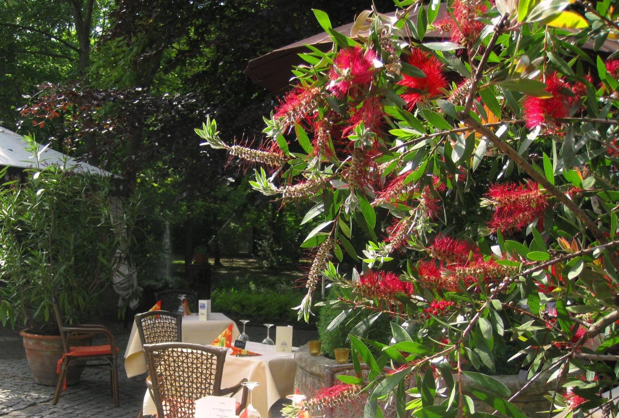 Landidyll Wilminks Parkhotel Neuenkirchen  Екстериор снимка